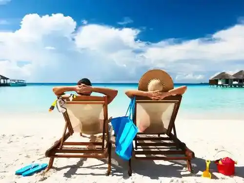VACATION - TESLA SOLAR PANEL